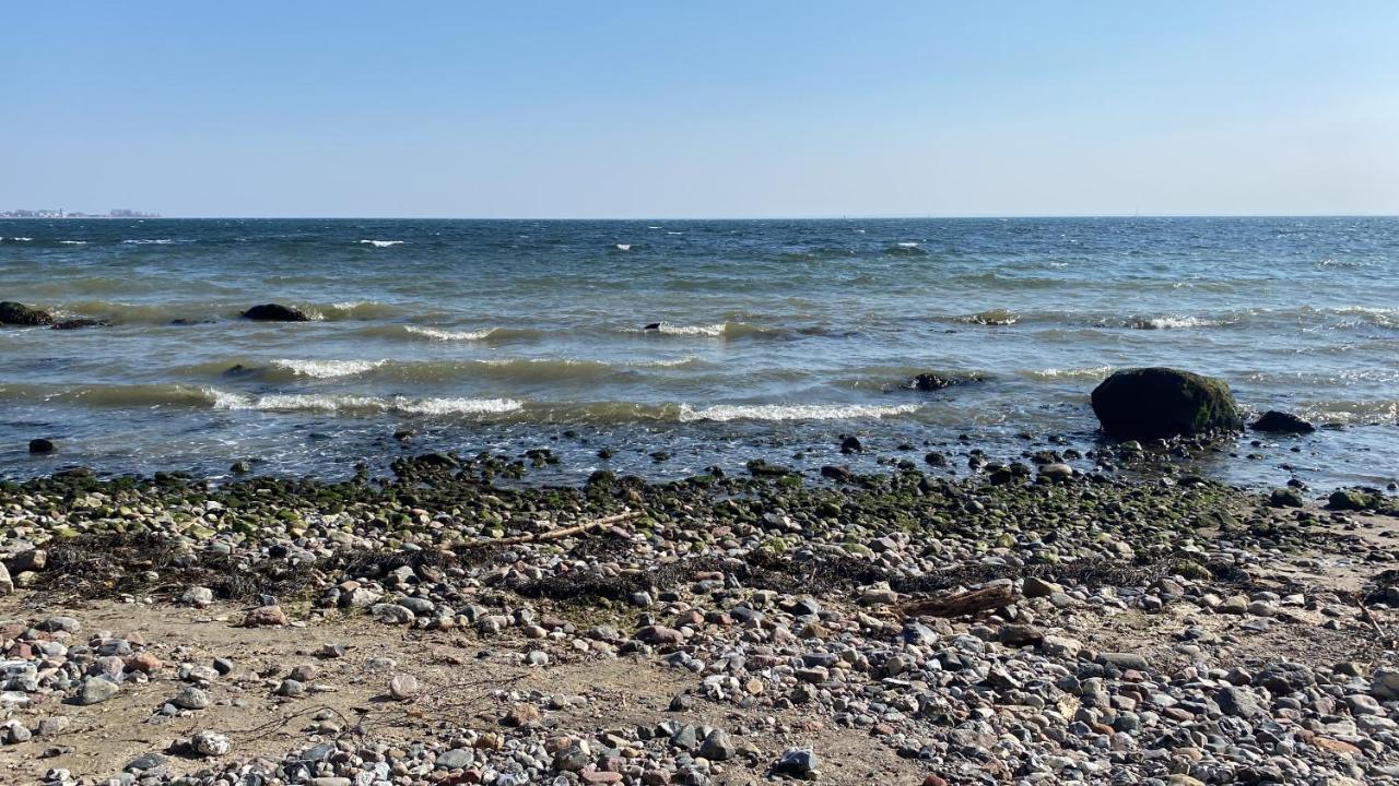 Oase Mit Meerblick, Schwimmbad & Nahe Hansapark, Kostenlos Parken Sierksdorf Eksteriør bilde